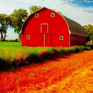 Like Bundle and Save one purchase monthly will win items that they liked added